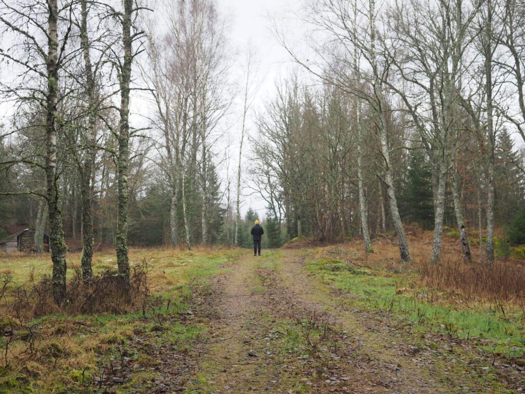 Buying land in Sweden