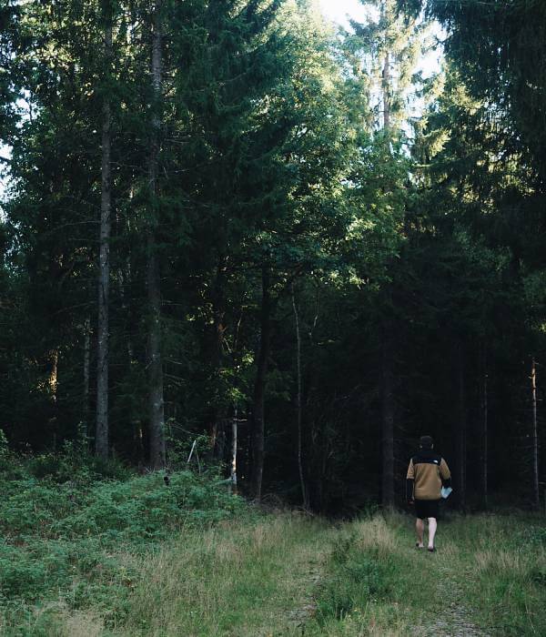 Vandring i de svenske skove